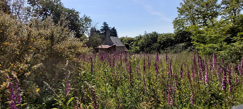 afgelegen huisje normandie te huur