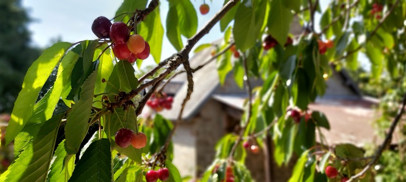 te huur huisnormandie prive